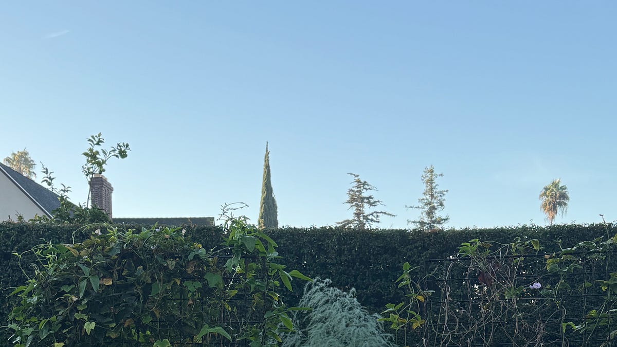 October Gardening: Harvest Tender Crops & Plant Spring Bulbs