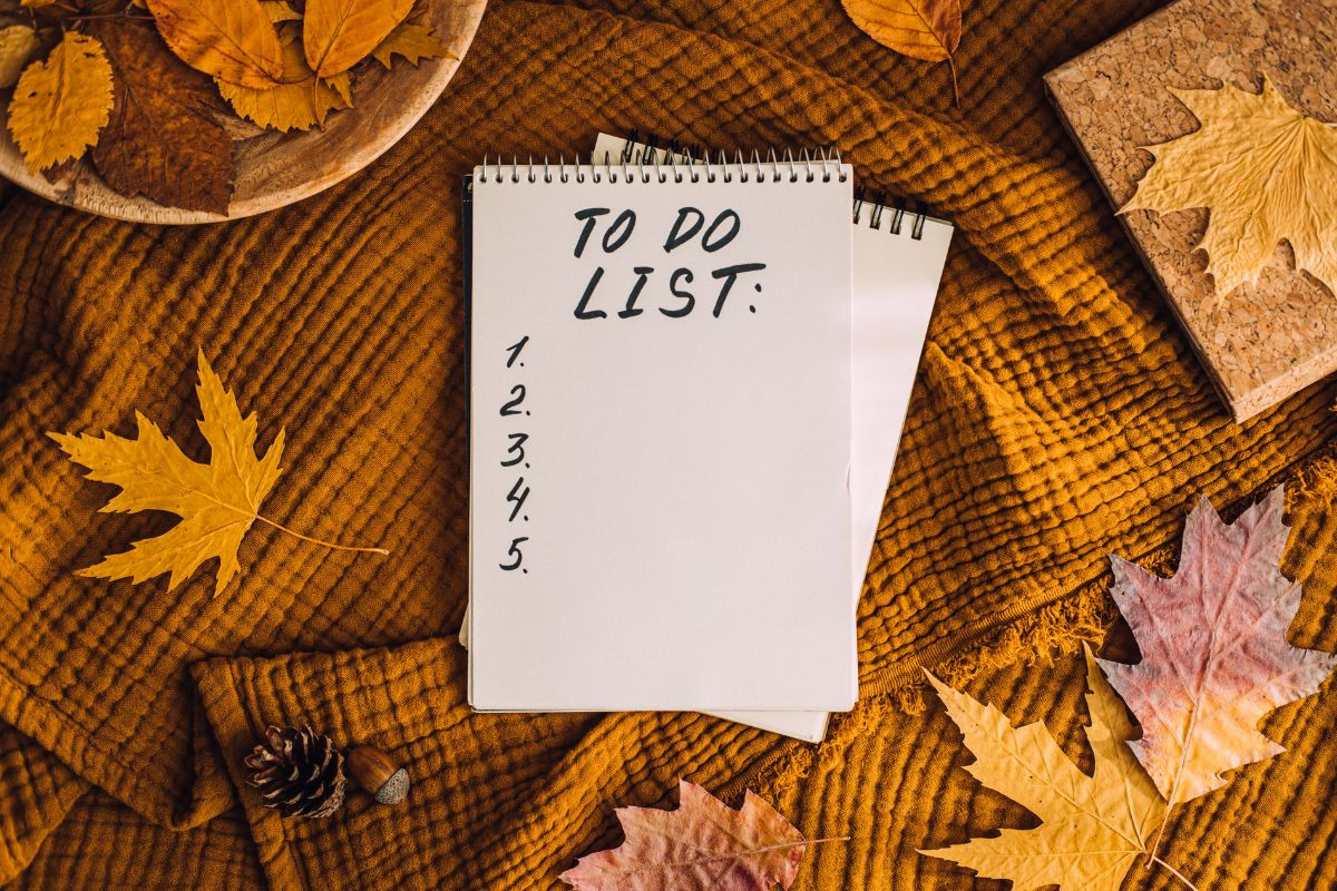 October Harvest & Prep: Get Your Garden Winter Ready Now